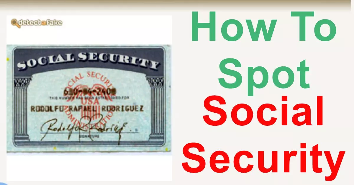 fake Social Security Cards